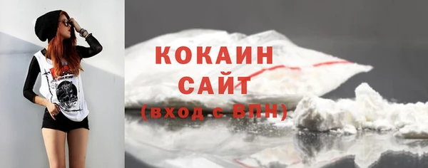 прущие грибы Кукмор