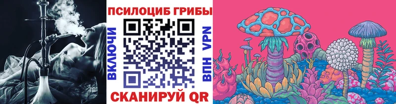 Псилоцибиновые грибы Psilocybine cubensis  Купить где  Подпорожье 