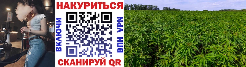 Купить закладки  Подпорожье  Шишки марихуана Ganja 